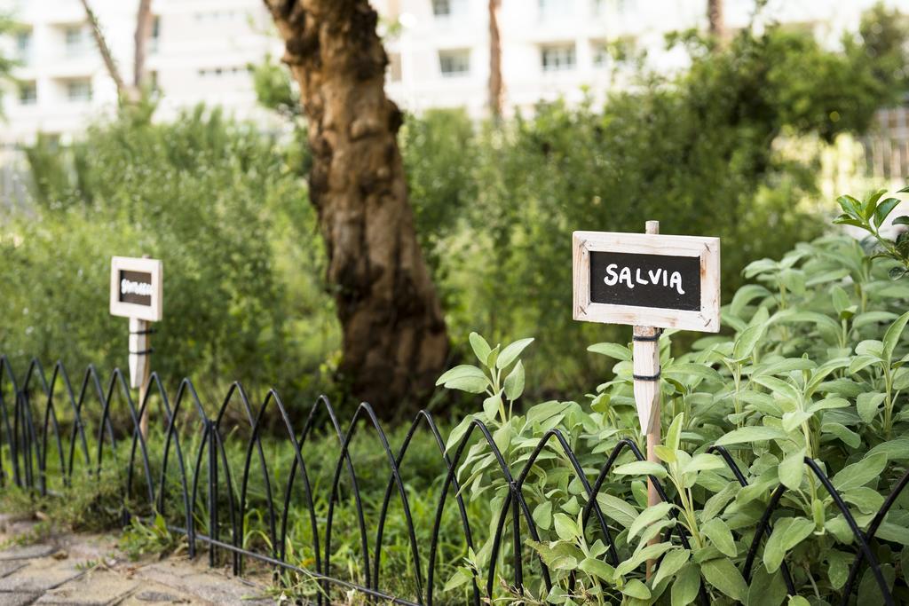 Occidental Aurelia Hotel Rome Exterior photo